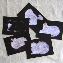 flat-faced cats  ポストカードセット 5枚目の画像