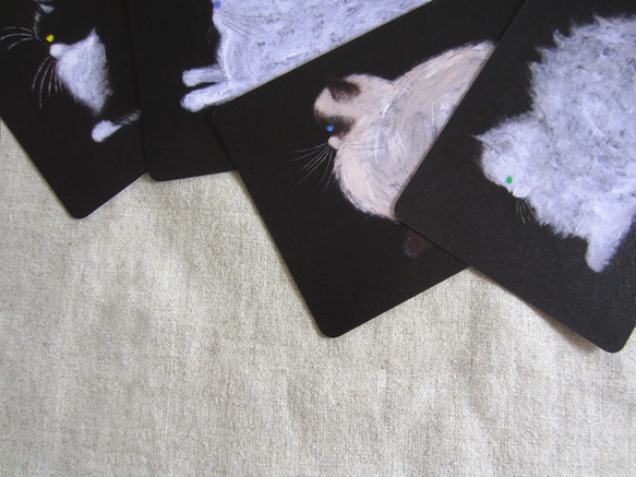 扁臉貓明信片套裝（圓角） 第2張的照片