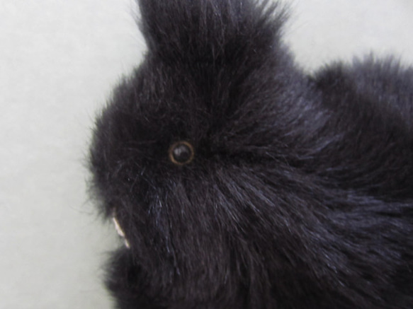 客製化&gt;&gt; PEPOSO：毛茸茸的動物「兔子」兔子/黑色 第5張的照片