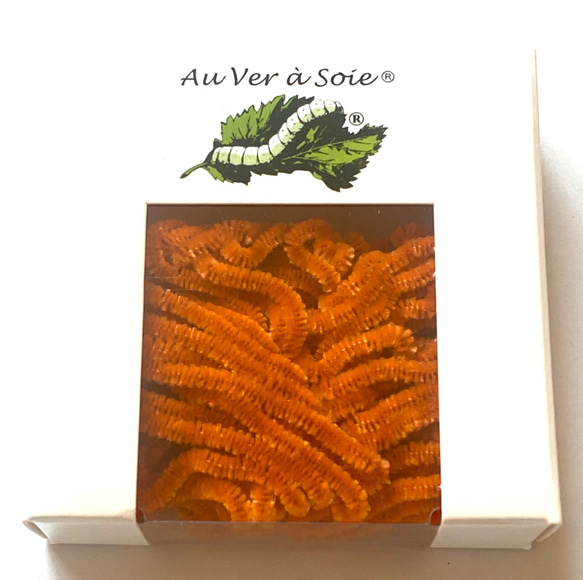 刺繍用シルク・シュニーユ　au ver à soie “Velours” フランス製 オレンジ 1枚目の画像