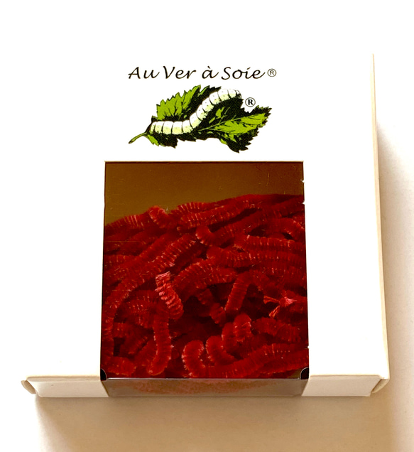 刺繍用シルク・シュニーユ　au ver à soie “Velours” フランス製 赤 1枚目の画像