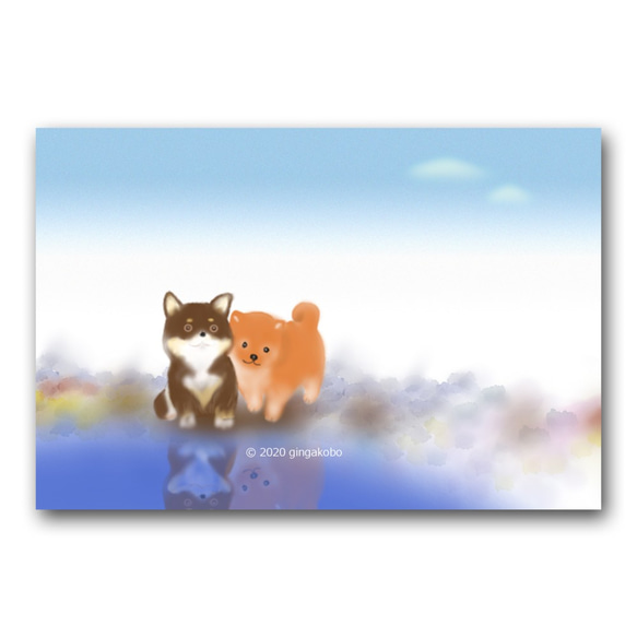 「公園のような関係です＾＾」　柴犬　ほっこり癒しのイラストポストカード3枚組　No.1224 1枚目の画像