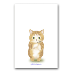 「抱き上げて耳を澄ます」　猫　ねこ　ほっこり癒しのイラストポストカード3枚組　No.1232 1枚目の画像