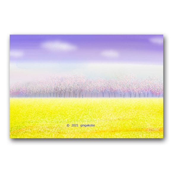 「365日かけてやって来た春」春 菜の花 桜 ほっこり癒しのイラストポストカード3枚組　No.1310 1枚目の画像