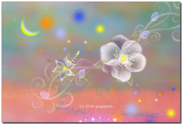 「月の眉の日に咲く花」　ほっこり癒しのイラストポストカード3枚組No.657 1枚目の画像