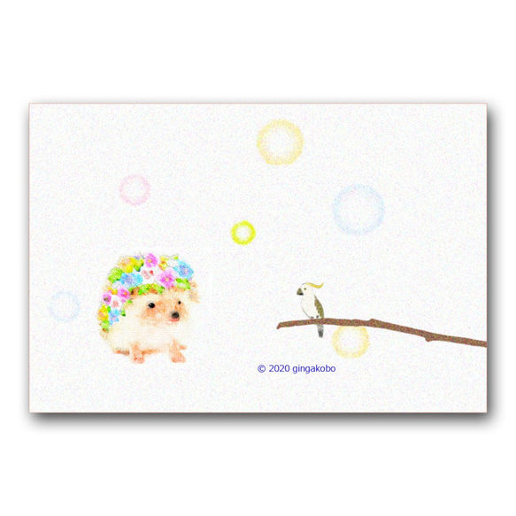 「パンジーハリネズミくんとオームくん」　ほっこり癒しのイラストポストカード3枚組　　　No.969 1枚目の画像