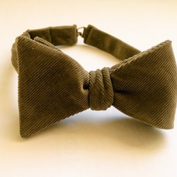 蝶ネクタイbowtie おうどいろ 1枚目の画像