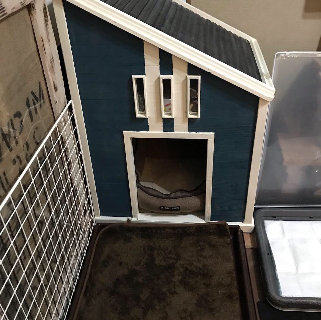 オーダーペットハウス^ - ^