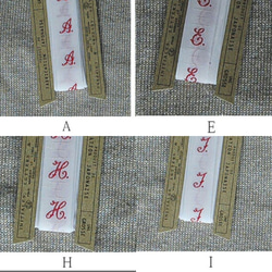  第5張的照片