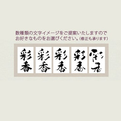 おしゃれでかわいい手書きの命名書☆赤ちゃんが産まれたら☆出産祝いにも☆フォト書(SHO)命名　クリアータイプ　A4 5枚目の画像