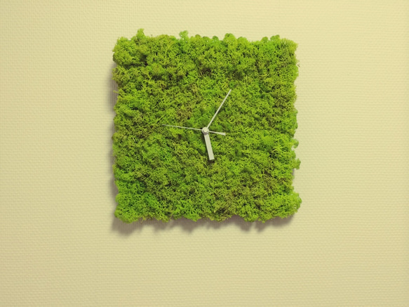 展示品　北欧ツンドラモス時計　 1枚目の画像