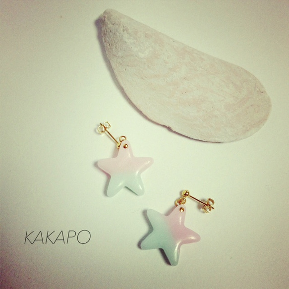 B × P bicolor star pierce (NO.476) 1枚目の画像