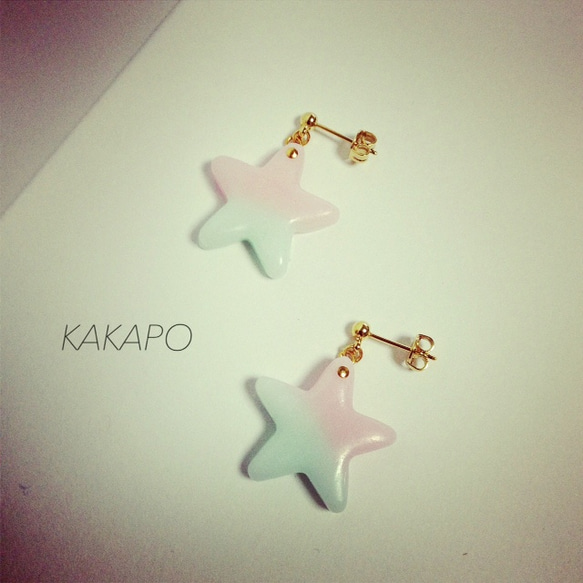 B × P bicolor star pierce (NO.476) 2枚目の画像