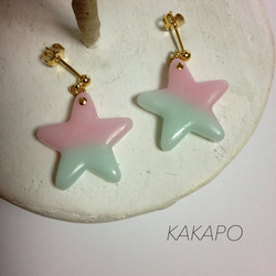 B × P bicolor star pierce (NO.476) 3枚目の画像