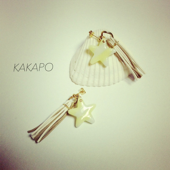 Y × W shooting star pierce (NO.432) 2枚目の画像