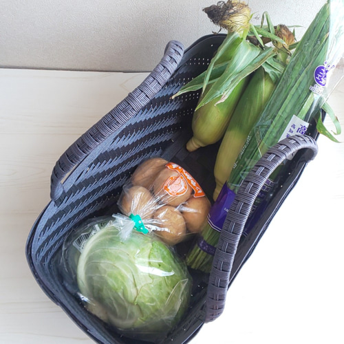 買い物かご コンビニ 大きめ エコバッグ 市場かご かごバッグ