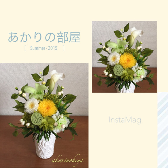 まる様ご依頼 鉄丸様 ご依頼品 アニス色紙イラスト 2種 🏮#