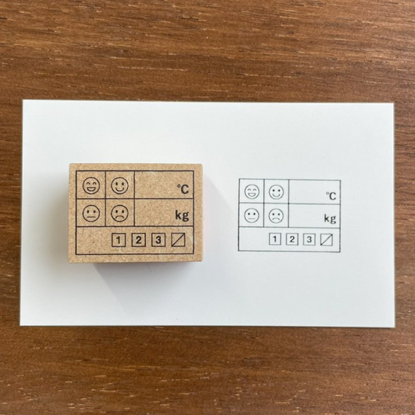 手帳スタンプ 体調管理の記録(体温・体重・気分・排便)（b-055）はんこ ハンコ 1枚目の画像