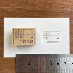 手帳スタンプ 体調管理の記録(体温・体重・気分・排便)（b-055）はんこ ハンコ 2枚目の画像