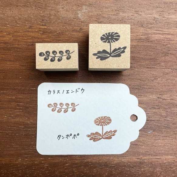 監督：Emi Nakano Creators 郵票盒（春天的花朵） Hanko Hanko 第5張的照片