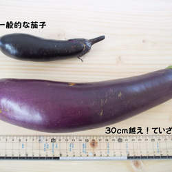 信州の伝統野菜ていざなす入り！なすまんじゅう３個入 4枚目の画像