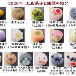 2020年干支饅頭と上生菓子箱詰め１０個入（人気動物饅頭入り） 3枚目の画像