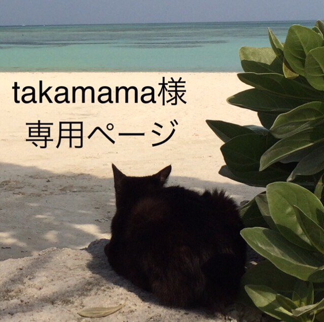 takamama様オーダーペンダント ネックレス・ペンダント 6月の猫 通販