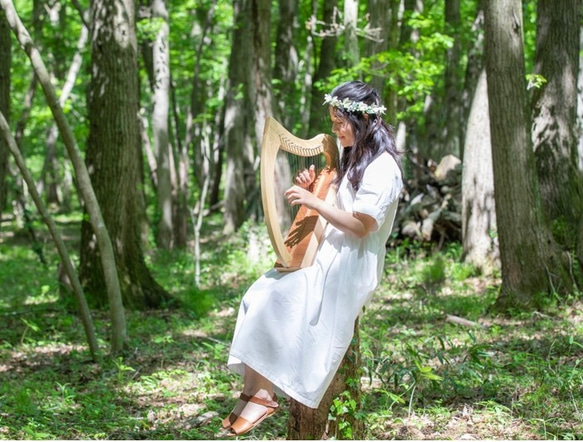 森の竪琴　継 2枚目の画像