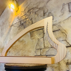 森の竪琴　継 6枚目の画像