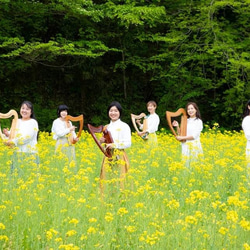 森の竪琴　匠　漆塗りモデル 3枚目の画像