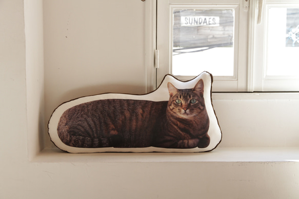 横たわる猫クッションLL 1枚目の画像