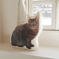 座り猫（タイプ2）LL 1枚目の画像