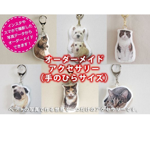 手のひらサイズ】ペットのオーダーメイドアクセサリー その他