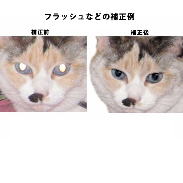 【豆フェイス】ペットのオーダーメイドバッグチャーム（裏生地ファー） 6枚目の画像