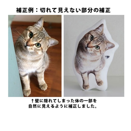 Mサイズ】ペットのオーダーメイドクッション（裏生地ファー） その他