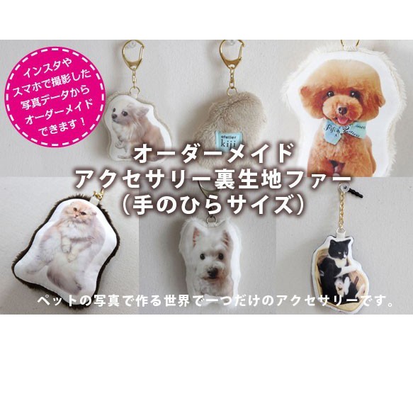 うーちゃん　手のひらペット うーちゃん様専用 手のひらペット