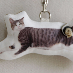 kiji貓墊尾部Furifuri噱頭鑰匙鏈“的東西？ “ 第2張的照片