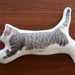 空飛ぶ猫（LLサイズ）ツイル 2枚目の画像