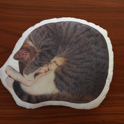 眠り猫（Mサイズ） 2枚目の画像