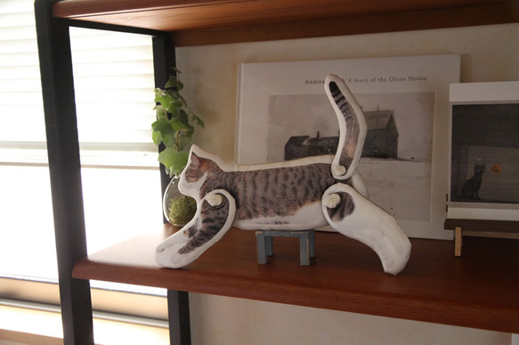空飛ぶ猫（3点ギミック）ツイル 1枚目の画像