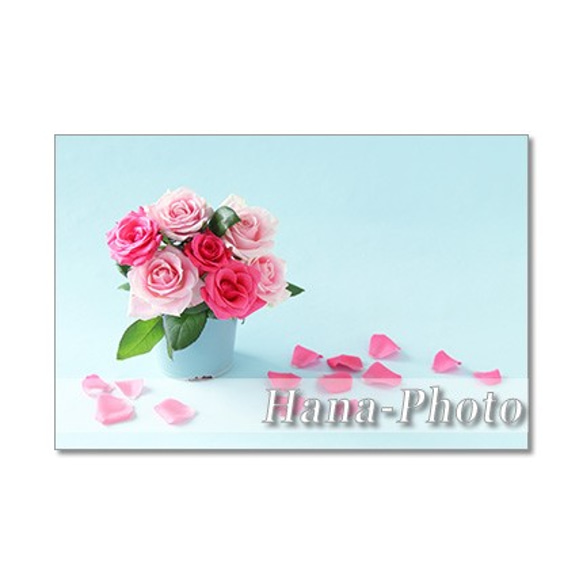 1439)  ホットピンクのバラのデザイン　   ポストカード5枚組 1枚目の画像
