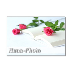 1439)  ホットピンクのバラのデザイン　   ポストカード5枚組 2枚目の画像