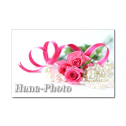 1439)  ホットピンクのバラのデザイン　   ポストカード5枚組 3枚目の画像