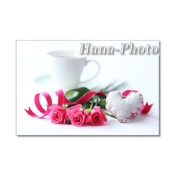 1439)  ホットピンクのバラのデザイン　   ポストカード5枚組 5枚目の画像