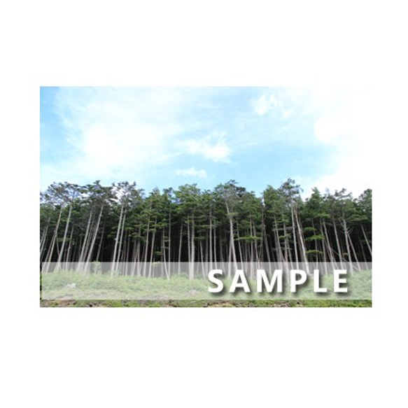 セット　5枚選べるポストカード　　「32 清々しい八千穂高原」 1枚目の画像