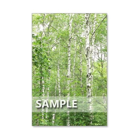 セット　5枚選べるポストカード　　「32 清々しい八千穂高原」 2枚目の画像