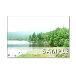 セット　5枚選べるポストカード　　「32 清々しい八千穂高原」 3枚目の画像