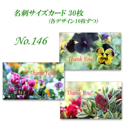 No.146 かわいい春の花   名刺サイズカード　30枚 1枚目の画像