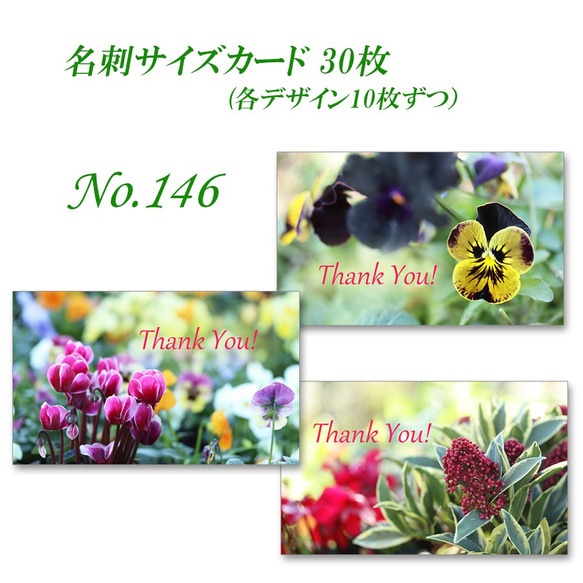 No.146 かわいい春の花   名刺サイズカード　30枚 1枚目の画像