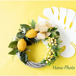 Harumu♡ 出品　リース土台 Haru＊Flower様 専用出品 リース土台